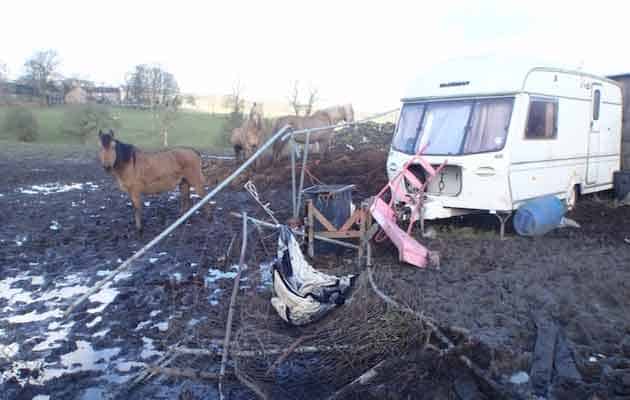 Horse dealer Jackie Johnson from Harriseahead, Stoke, UK, kept horses and donkeys in squalor.