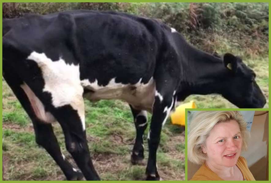 Irresponsible Justine Peroni of Torpoint, Cornwall is banned from keeping animals for five years for her cruel and negligent treatment of cattle on her smallholding.