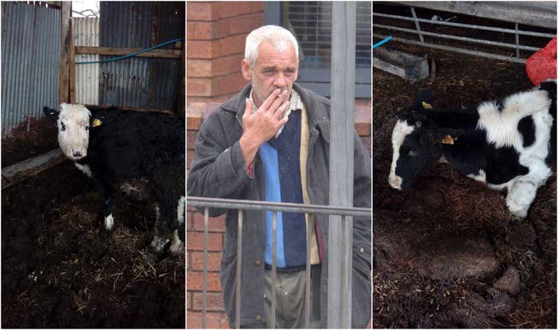 Cruel Stephen Croxall left cows and sheep to starve in miserable conditions on his Uttoxeter farm