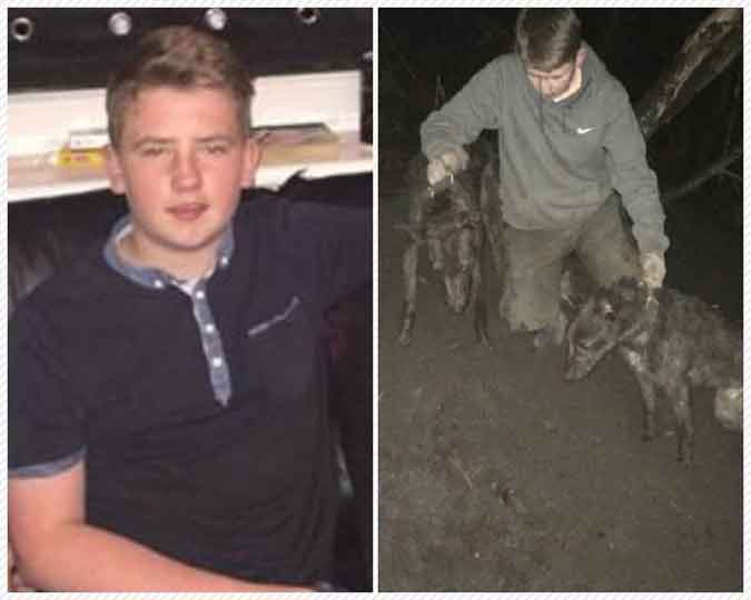 Conran Connor was jailed for 5 months after making three pets brutally attack badgers