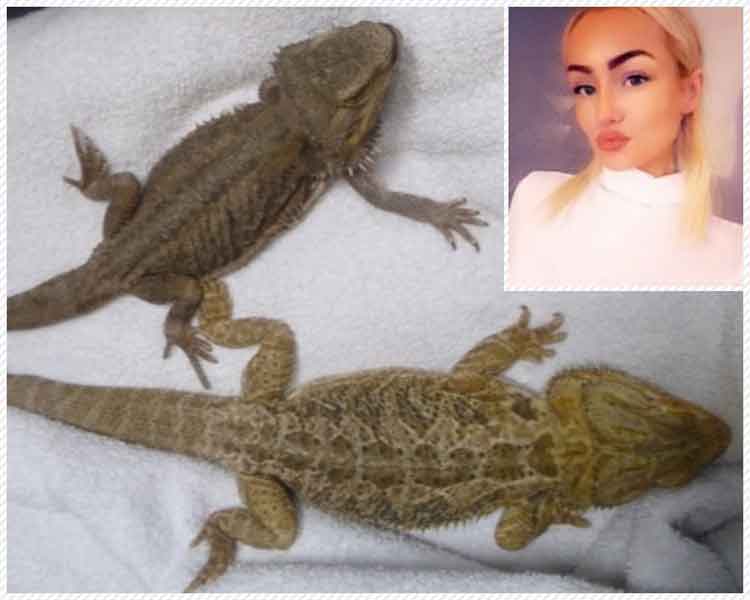 Jayde Ross from Bettws, Newport, Wales, was banned from keeping all animals for three years after leaving two bearded dragons in an abandoned property.