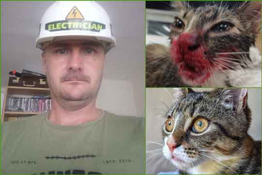 Photo composite shows John O'Reilly and his victim, kitten Betty Boo, after the attack and following recovery