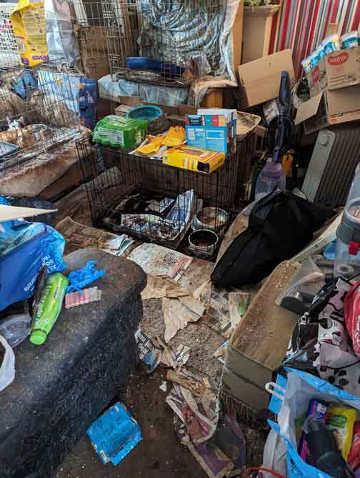 RSPCA prosecution of animal hoarder Stephanie Sinclaire from Brierley Hill, Dudley, West Midlands, who kept eight cats and five dogs in foul conditions and failed to feed them properly.