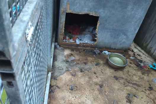 RSPCA prosecution of single mother Amy Cheeseman from Carlton-in-Lindrick, near Worksop, Notts, who left a dog to starve to death in a filthy outside kennel.