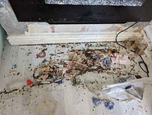 RSPCA prosecution of Sarah Jordan from Leyland, Lancashire for keeping over 100 rats in dirty and cramped conditions.