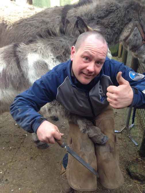 Farrier Andrew Bagnall, from Sutton Coldfield, has been removed from the FRC register after kicking and punching a customer's pony.