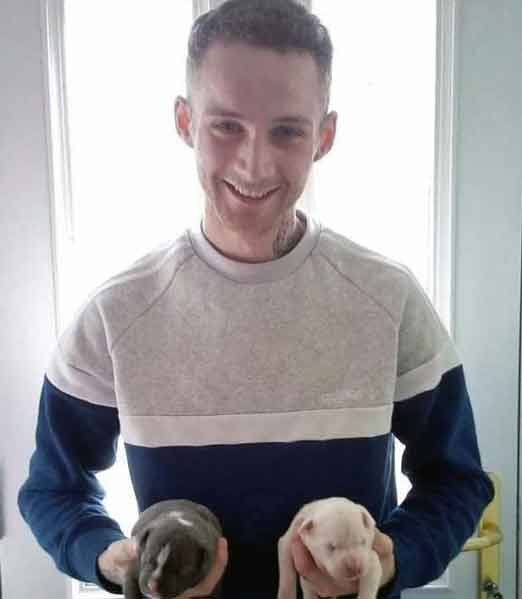 Local authority prosecution of unlicensed dog breeder and abuser Joseph McWilliams from North Belfast, Northern Ireland.