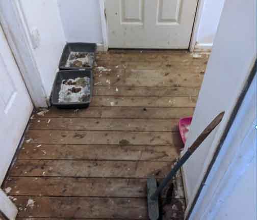 RSPCA prosecution of animal hoarder Daniel Mark Janes from Ynysforgan, Swansea, Wales.