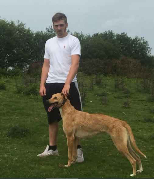 Badger baiter Anthony Lloyd Wilkinson from Caernarfon, North Wales