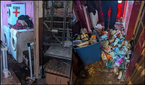 RSPCA prosecution of Sunderland pet hoarders Les Surtees and Lisa Odgers who kept dogs and cats in filthy and hazardous conditions.